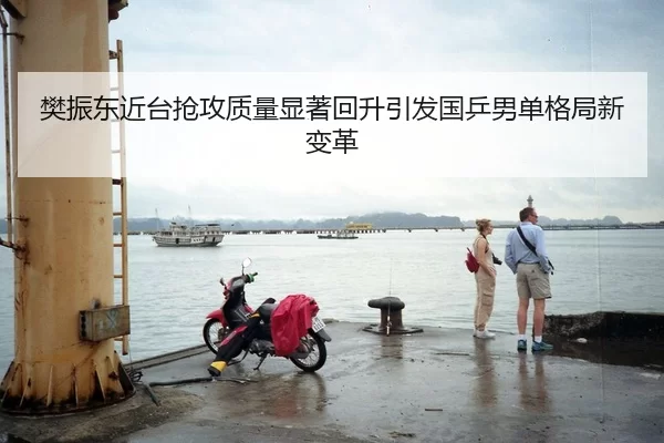 樊振东近台抢攻质量显著回升引发国乒男单格局新变革