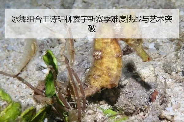 bing-wu-zu-he-wang-shi-yue-liu-xin-yu-xin-sai-ji-nan-du-tiao-zhan-yu-yi-shu-tu-po-2-325.jpg