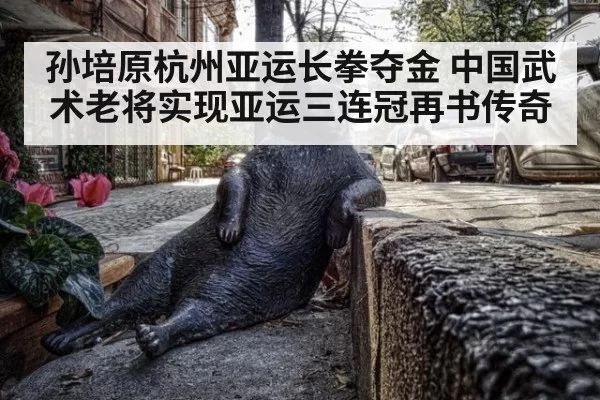 孙培原杭州亚运长拳夺金 中国武术老将实现亚运三连冠再书传奇