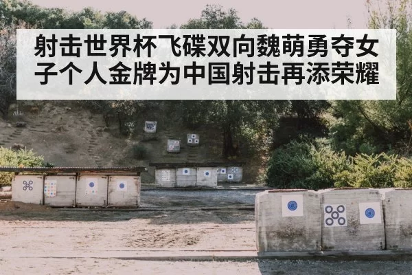 clay target shooting